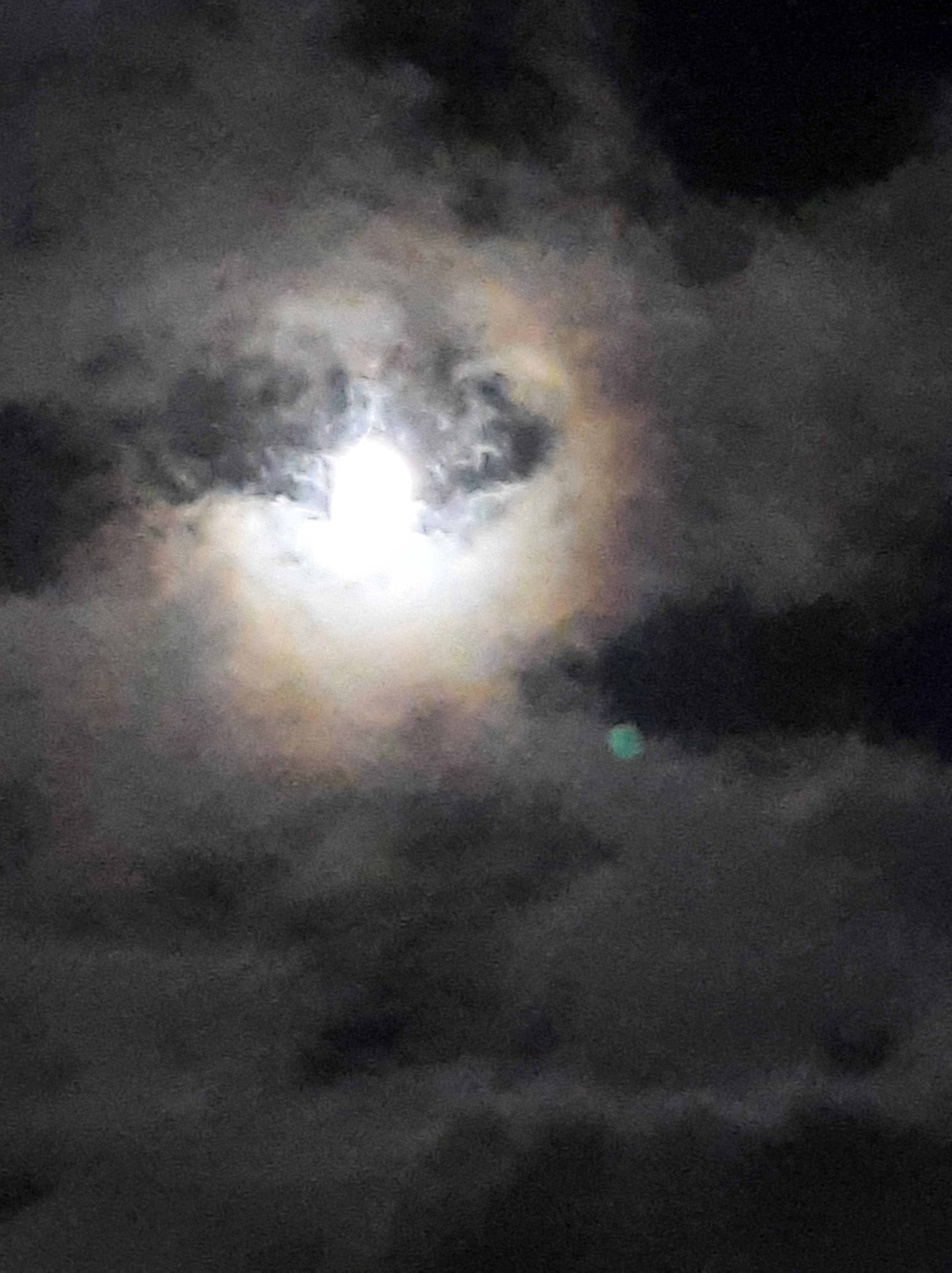 Lifestyle Shape Shifter